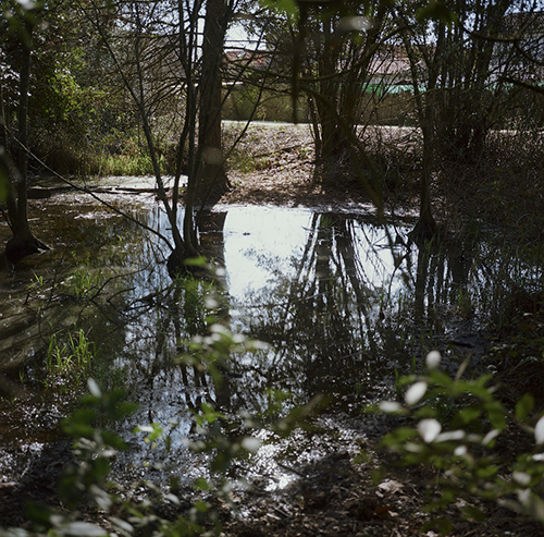 photography | tenet-park | &copy; patrice de Santa Coloma