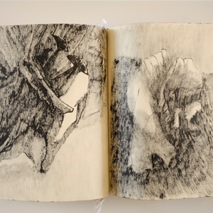 sketchbooks | image thumb |  carnet-2016 © patrice de Santa Coloma