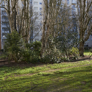 homepage  | image thumb | 
             
             Serie de fotografías del barrio Grand Parc de Burdeos                         | © patrice de Santa Coloma