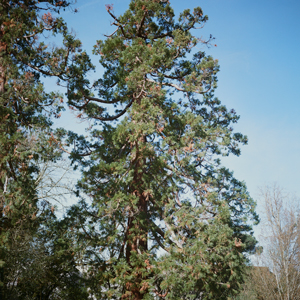 photography | image thumb |  tenet-park © patrice de Santa Coloma